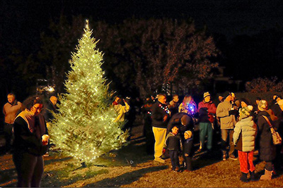 Christmas Tree Lighting