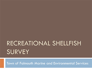 Recreational Shellfish Survey Falmouth, MA