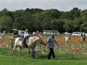 West Falmouth Swift Park