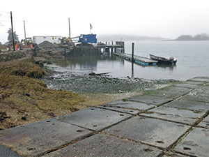 West Falmouth Dock rebuild